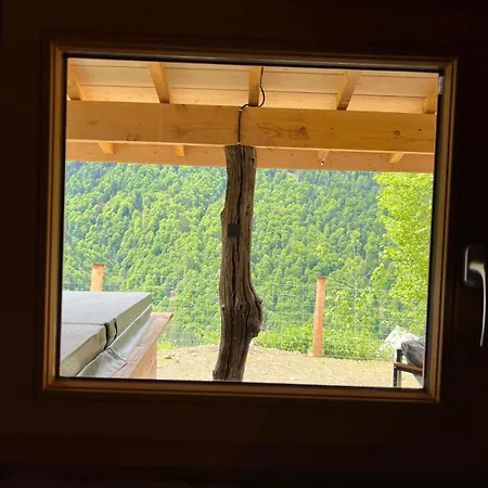 Au Coeur Des Pyrenees Avec Jacuzzi *